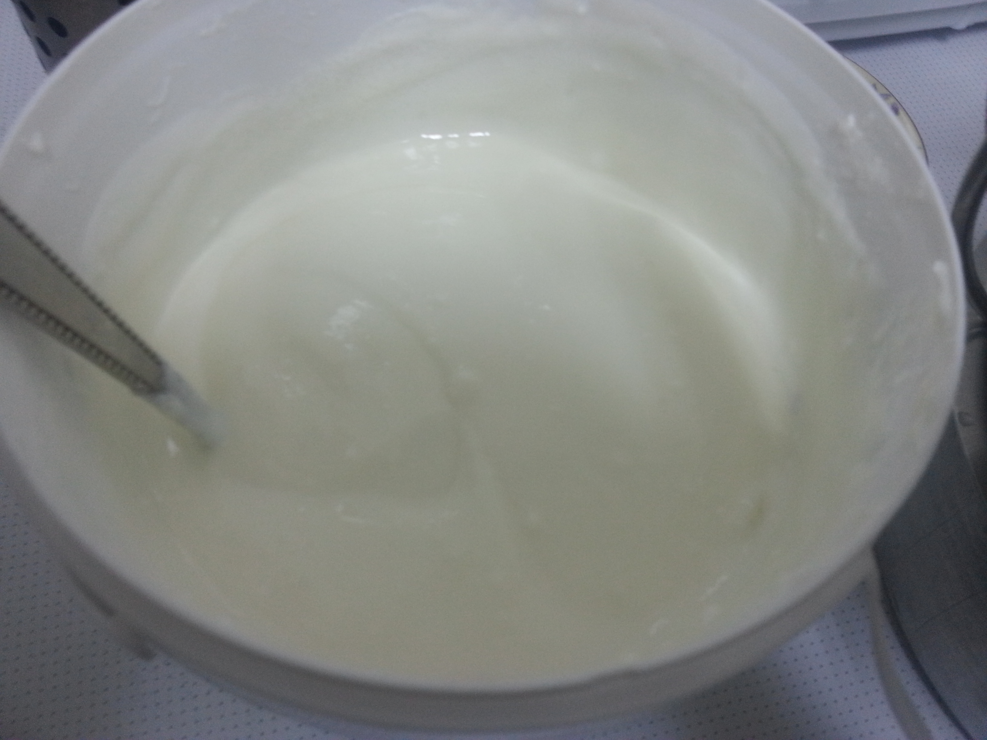 add-yogurt-sheerkhand-with-pooris2