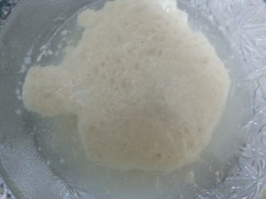 proofing instant yeast