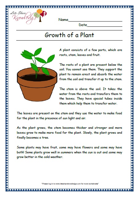 growth of plant grade 2 comprehension worksheet