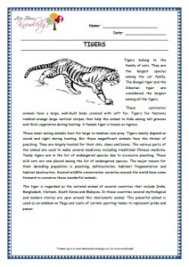 11 tigers grade 3 comprehension worksheet