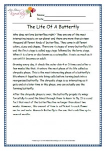 5 the life of a butterfly grade 3 comprehension worksheet