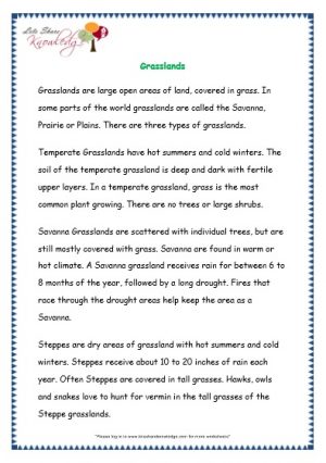 Comprehensions for Grade 3 (Ages 7 - 9) Worksheets Passage 32