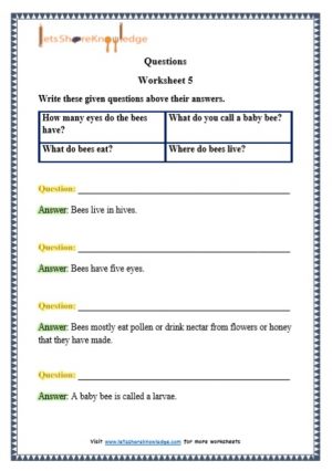 grade 1 questions grammar printable worksheets