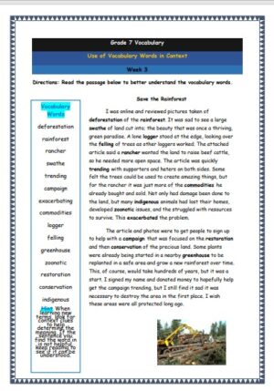 grade 7 vocabulary week 3 printable worksheet understanding the vocabulary words in context